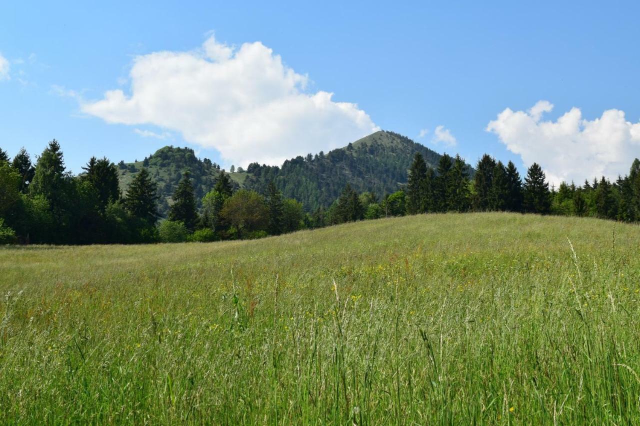 波斯科Green House Mountain Lake Iseo Hospitality公寓 外观 照片